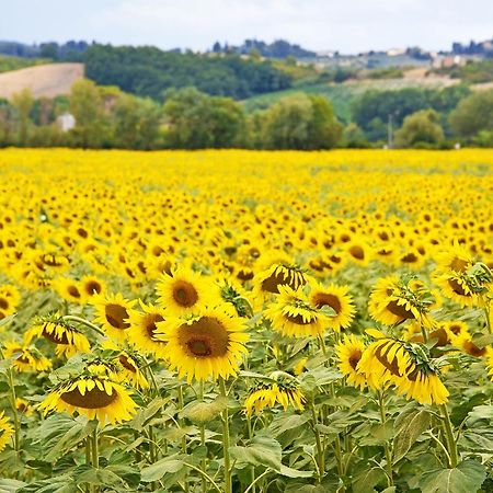 מונטריג'יוני Agriturismo Tre Madonne מראה חיצוני תמונה