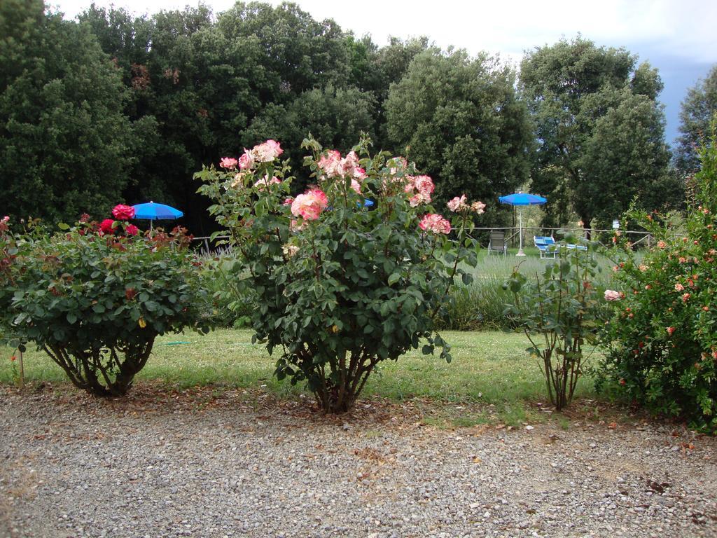 מונטריג'יוני Agriturismo Tre Madonne חדר תמונה