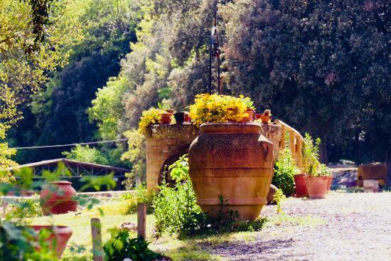 מונטריג'יוני Agriturismo Tre Madonne מראה חיצוני תמונה